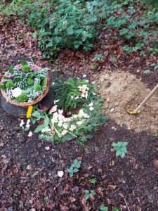 Das Grab von Gisela Kummert unter dem Baum Nr. 91 in der Waldruhestätte Meerbusch