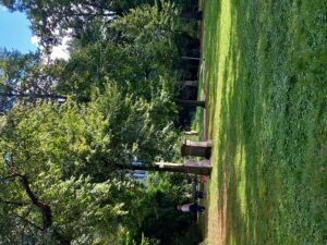 Impressionen auf dem wunderbaren Golzheimer Friedhof Düsseldorf