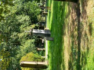 Impressionen auf dem wunderbaren Golzheimer Friedhof Düsseldorf